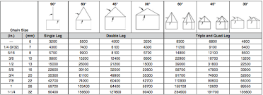 grade 100 chain sling components