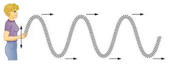 A string or slinky moving up and down (one end being. Transverse And Longitudinal Waves Review Article Khan Academy