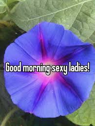 We did not find results for: 32 Good Morning Sexy Wishes