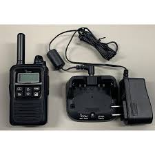 Image result for ICOM IP100H