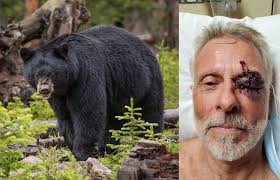 Surviving a Bear Attack in Northern California's Trinity Alps