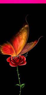 pin by dany on pretty images butterfly wallpaper backgrounds butterfly wallpaper iphone butterfly wallpaper