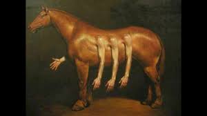 1 Man 1 Horse ~ The Mr. Hands Story ~ Joe Rogan With Chuck Palahniuk -  YouTube