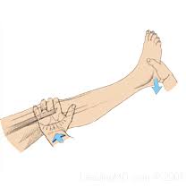 Image result for Pivot Shift Test