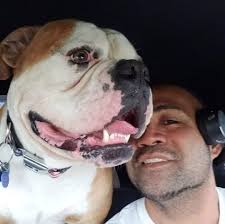 Uncle Adam you will be missed brother 🙏🙏 Always making everybody laugh  and smile You will always have a place in the our hearts.  https://memorialdesigners.net/obituary/adam-lawrence-snell/?fbclid=IwZXh0bgNhZW0CMTEAAR2KbhtSq-UJuCh3Quk-bkxlt3p7  ...