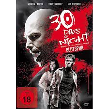 30 Days of Night : Niles, Steve, Templesmith, Ben, Neubauer, Frank:  Amazon.de: Books