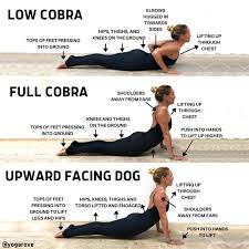 Cobra Vs Upward Facing Dog Follow Yogarove Follow Yogarove Looking To Progress Into Upward Facing Yoga For Beginners Yoga Lifestyle Yoga Fitness
