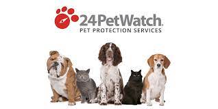 Maybe you would like to learn more about one of these? 24petwatch Insurance Review 365 Pet Insurance