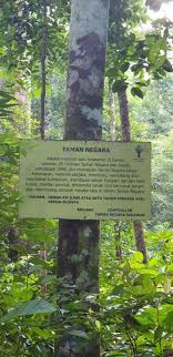 Tanam, plant, random, concile, farming, food hawker, bury the egg, plant a flower. Wikiloc Permai Waterfall Trail