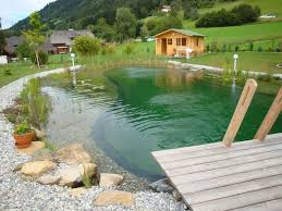 Schwimmteich Casitas De Campo Schwimmteich Gartengestaltung Und Teich