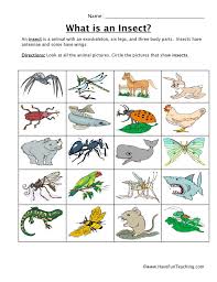 Worksheet on animal classification directions answer the following questions q nos 1 to 30 by selecting the correct most appropriate options 1 the. Animal Classification Chart Worksheet Hamil