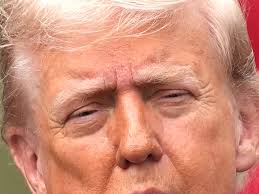 Matcha Martinis, Dirty Shirleys, and Good Old Beer Are Battling for Drink  of the Summer