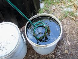 Make liquid lawn clipping fertilizer. Unflavored Gelatin Makes For An Excellent Fertilizer Cape Gazette