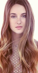 Shailene diann woodley (born november 15, 1991) is an american actress, film producer, and activist. Shailene Woodley Imdb