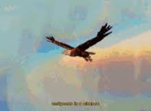 Free download no attribution required high.find the perfect eagle picture for any project. Eagle Gifs Tenor