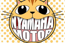 Image result for lolcats