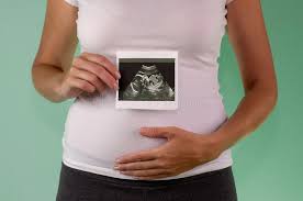 The main torso muscles in human body viewed from the front (anterior view) are as follows: The Girl Is Holding A Snapshot Of An Ultrasound Twin In The Fourth Week Of Pregnancy First Trimester Confirmation Of Pregnancy Stock Image Image Of Life Fertilisation 158531921