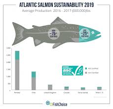 Atlantic Salmon Fishchoice