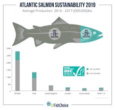 Atlantic Salmon Fishchoice