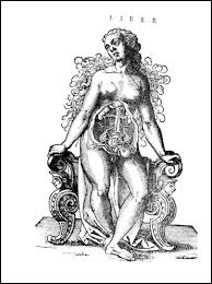 Young woman with paint skeleton on her body. Female Anatomy Books Health And History