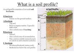 Soil Horizons Gallery Garden Soil Top Soil Soil Layers