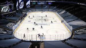 Blue and brown master bedroom. Nhl Bubble Confidential Go Inside The Toronto And Edmonton Playoff Hubs