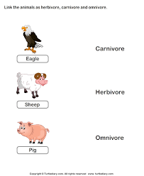 State a few examples of omnivores. Examples Of Herbivores Carnivores And Omnivores Animals Worksheet Turtle Diary