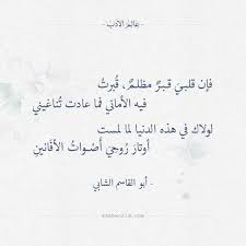 لولاك في هذه الدنيا أبو القاسم الشابي عالم الأدب poet quotes beautiful arabic words quotes
