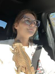 Bearded Dragon Lover