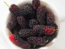 Check spelling or type a new query. What Are Mulberries