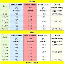 muscle mass chart lifeselector online