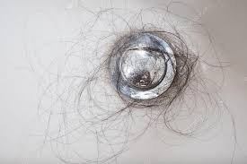 hair loss problem in sink  stock photo