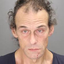 Shooter pleads in Warren gas station carjacking that wounded woman