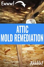 In the vast majority of cases, the mold growth is caused by condensation. Attic Mold Remediation Calling In The Pro S Sage Cottage Architects Mold Remediation Cleaning Mold Attic