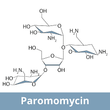Image result for Paromomycin