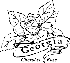 It will be interesting for children to get acquainted with the most famous sights of this huge amazing country. 50 State Flowers Coloring Pages For Kids Coloring Library