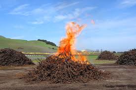Maybe you would like to learn more about one of these? What S Biochar How To Stabilize Carbon In Your Soil Rodale Institute