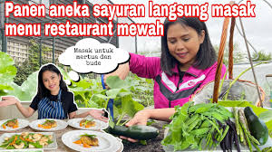 Di indonesia sendiri sudah banyak resep makanan sayur yang lezat dan menyehatkan. Panen Aneka Sayur Dikebun Langsung Masak Menu Restaurant Mewah Masak Untuk Mertua Dan Bude Youtube