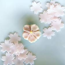 麩饅頭始まってます 9月頃まで販売します ツルッとモチモチさっぱりした甘さの麩饅頭 人気商品です 和菓子 麩饅頭 麩餅 ふまんじゅう 新緑の季節 季節のお菓子 茶道 おやつ あんこ こしあん japanesefood japanesesweets 和菓子 開花 花見