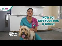Best answers overall median survival time was 24.5 months. Hypothyroidism In Dogs Pdsa