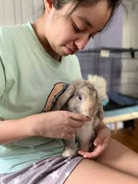 My heart is broken. My beloved 15 year old Muffin accidentally fell off my  cabin balcony today. She died peacefully about an hour later. "😢Until we  see you again, lil Muff, wait