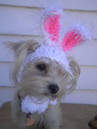 Dog Easter Bunny Ears Bunny Hat For Cat Pet Bunny Ears Etsy Pet Bunny Easter Bunny Ears Easter Cats