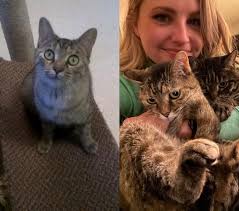 I can't believe it's been ✨TEN✨ years since I got my Espy girl! I've loved  every minute of it. (Sorry you have to put up with all of the antics from  Victor)