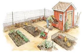 Check spelling or type a new query. How To Use Chicken Manure In Vegetable Garden Cromalinsupport
