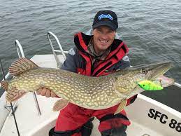 Är du nybörjare och vill lära dig grunderna eller är det affärsengelska du behöver utbilda dig inom? Ronny Anden Fishingguide In Sweden