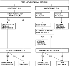 treatment flow chart for brachial plexus birth injury with