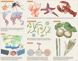 Intensication of agriculture, excessive use of fertilizers and pesticides. Scientists Warning To Humanity Microorganisms And Climate Change Nature Reviews Microbiology