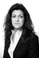 Litigation Attorneys