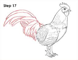 Maybe you would like to learn more about one of these? How To Draw A Rooster Easy