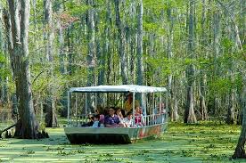 Tripadvisor New Orleans Swamp And Bayou Boat Tour With Transportation Provided By Cajun Encounters Tour Louisiana Swamp Tours New Orleans Swamp Tour Tours New Orleans